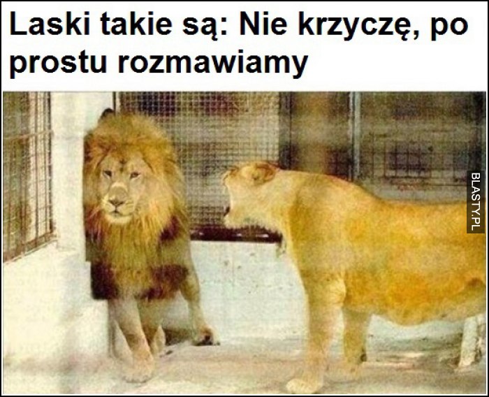 nie krzycz na mnie