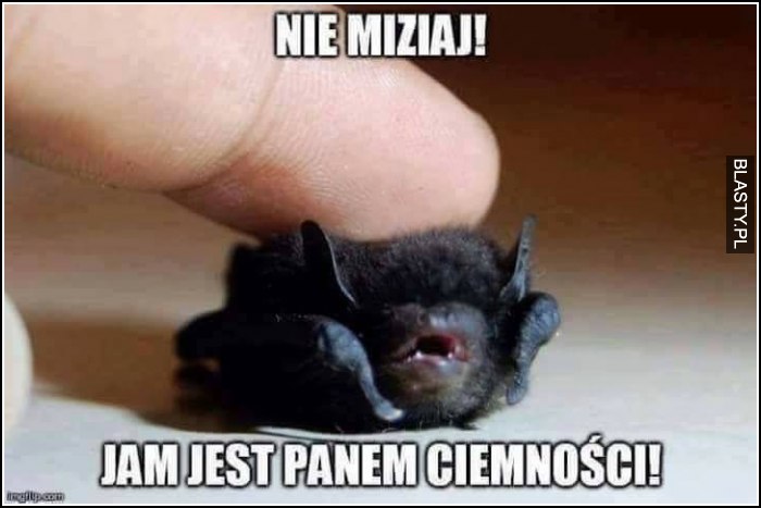 Nie miziaj - jam jest panem ciemności