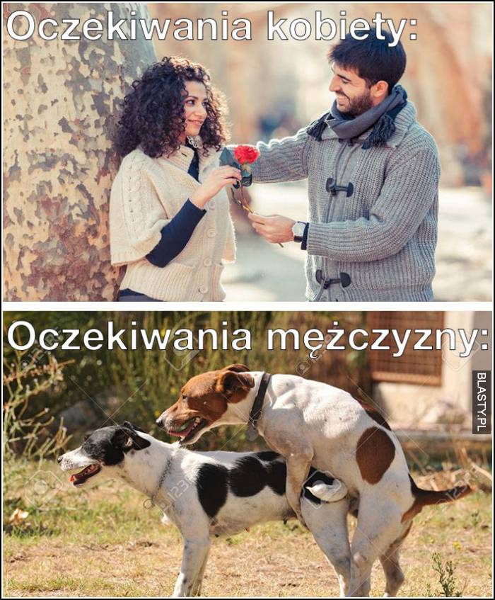 oczekiwania kobiet wobc mężczyzn