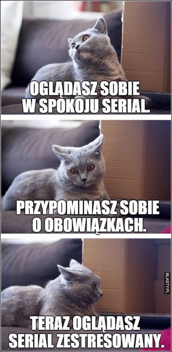 Oglądasz sobie w spokoju serial