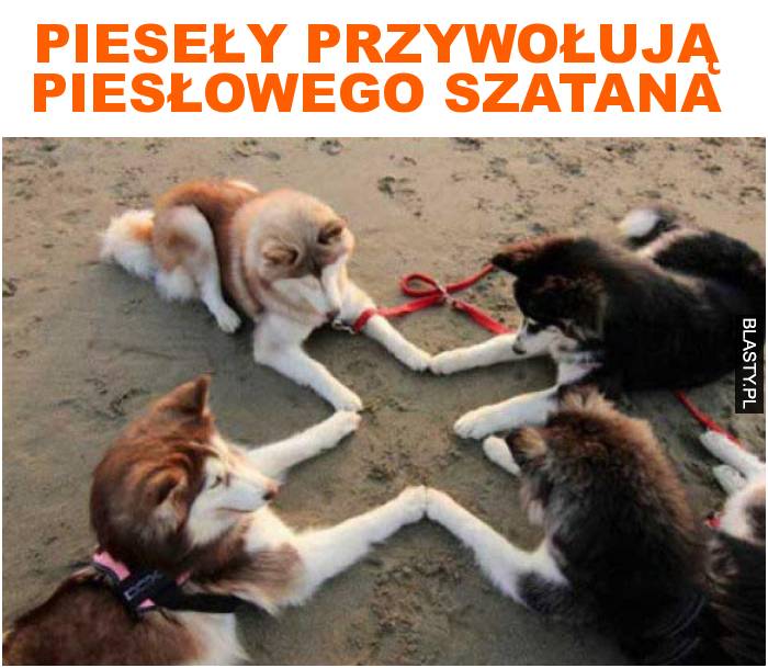 pieseły przywołują piesłowego szatana