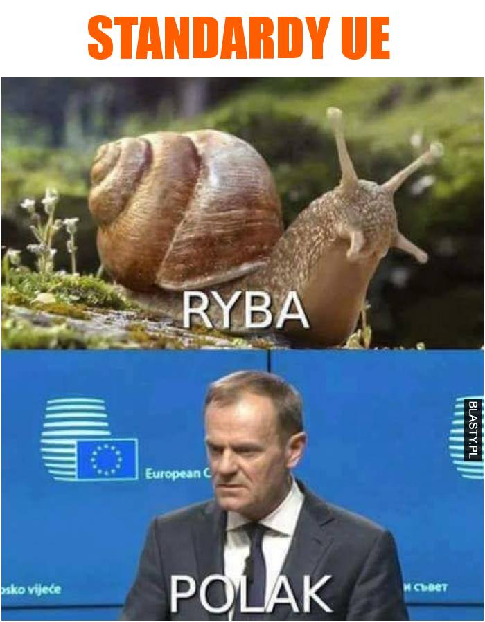 Standardy UE