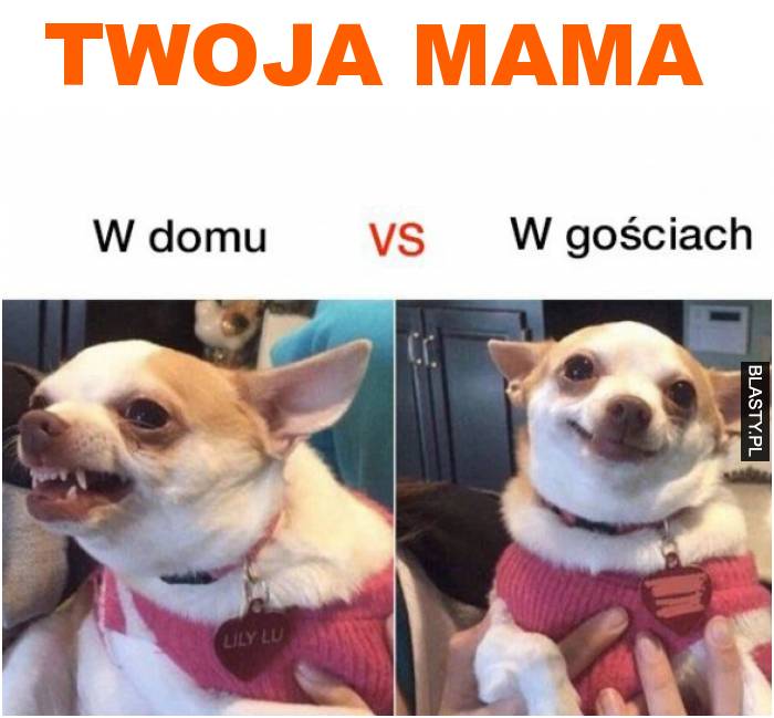 twoja mama