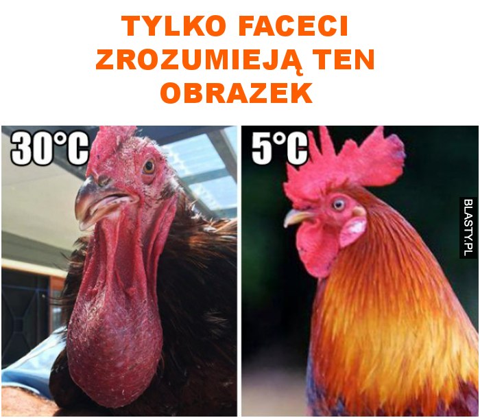 tylko faceci zrozumieją ten obrazek