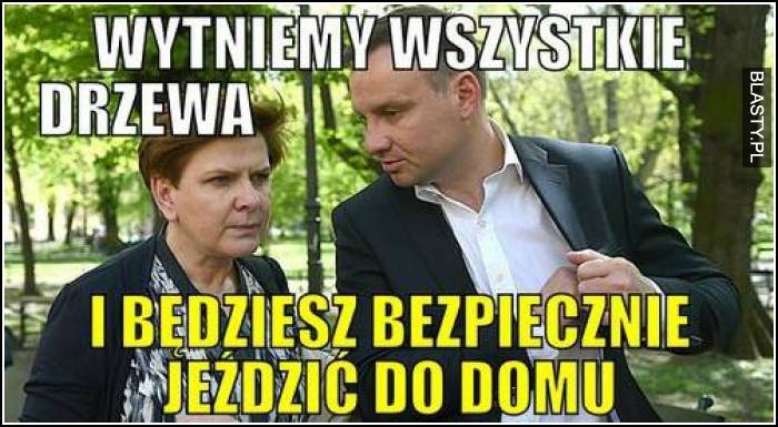 Wytniemy wszystkie drzewa