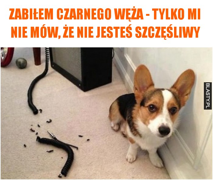 Zabiłem czarnego węża - tylko mi nie mów, że nie jesteś szczęśliwy