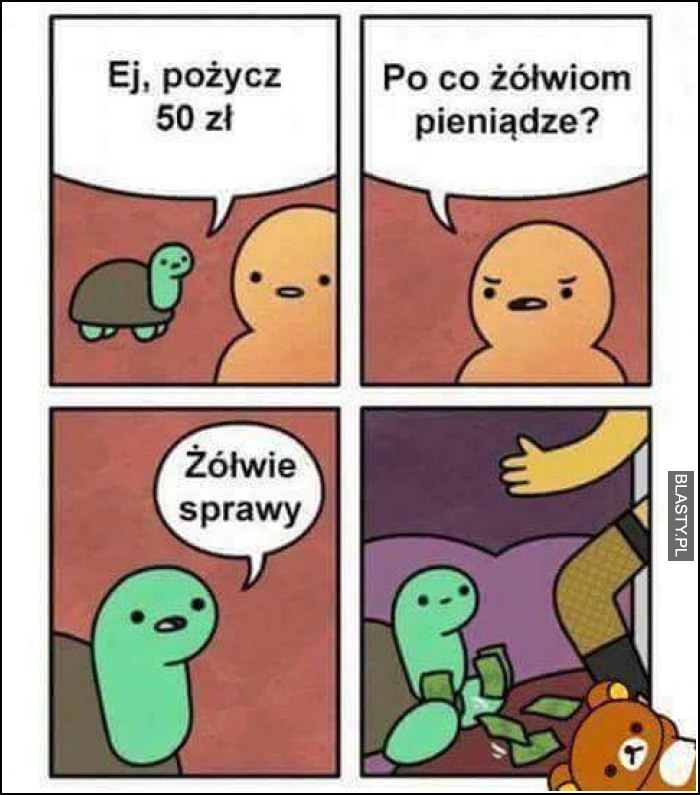 żółwie sprawy