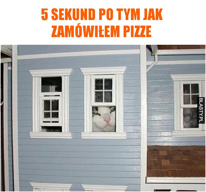 5 sekund po tym jak zamówiłem pizze