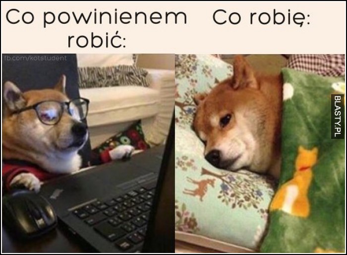 Co powinienem robić vs co robię