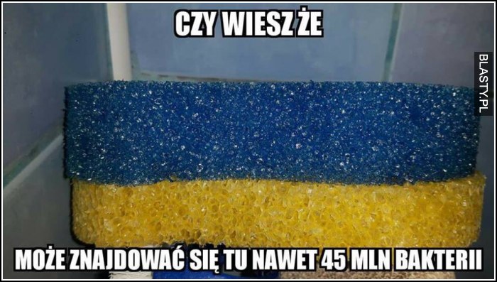 Czy wiesz, że może znajdować się tu