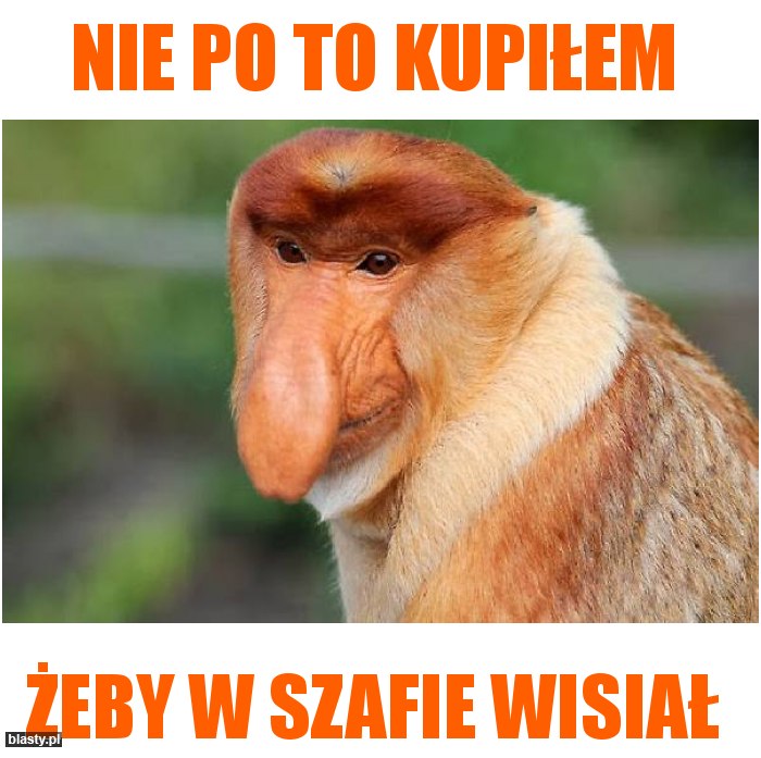 Garniak