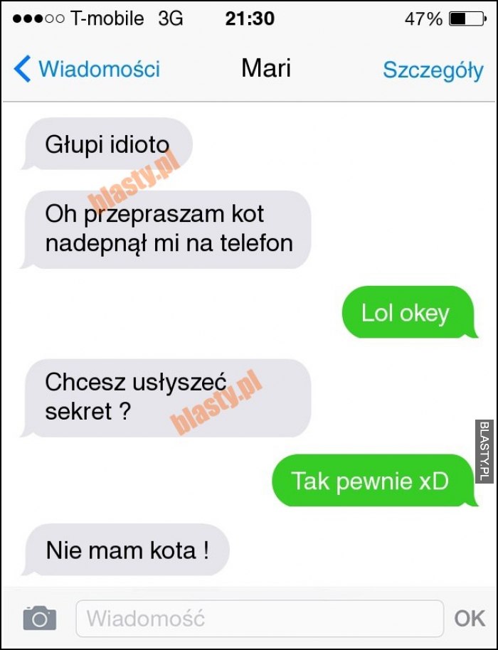 Głupi idioto