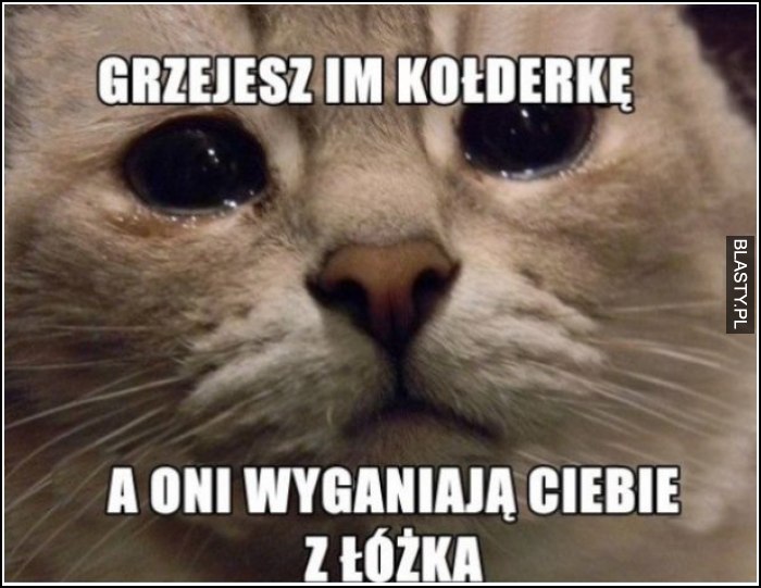 grzejesz im kołderkę a oni cię wyganiają ciebie z łóżka