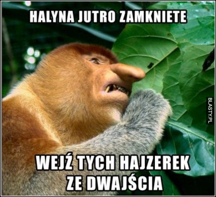 Halyna jutro zamknięte