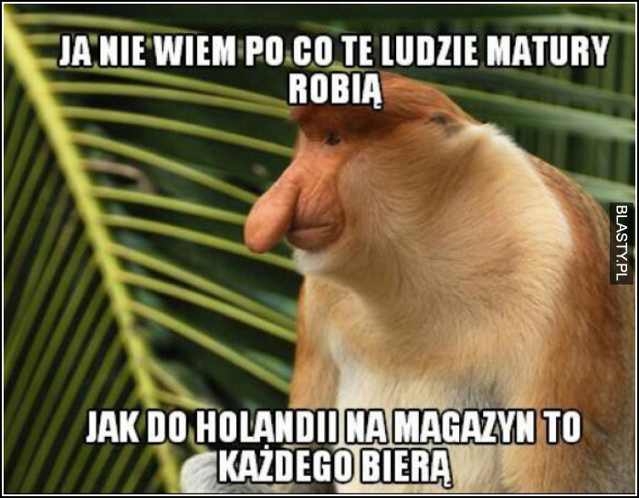 Ja nie wiem po co te ludzie matury robią