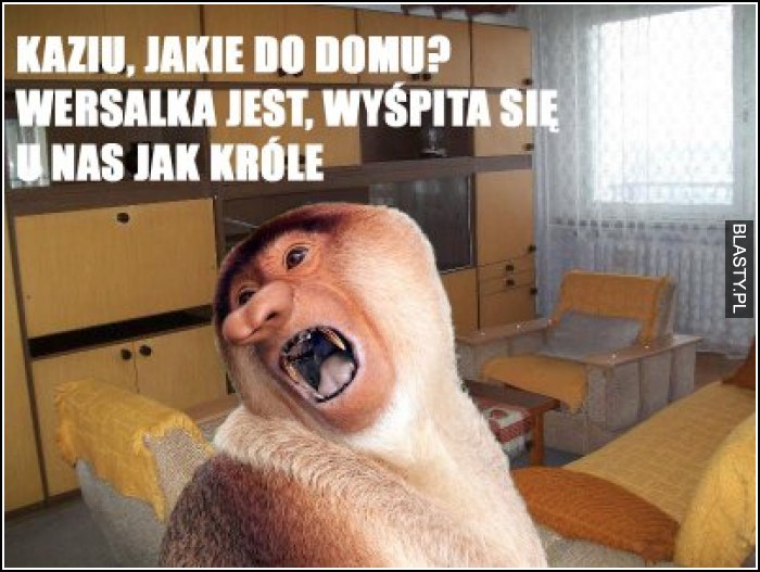 Kaziu, jakie do domu