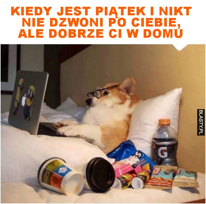 kiedy jest piątek i nikt nie dzwoni po ciebie, ale dobrze ci w domu