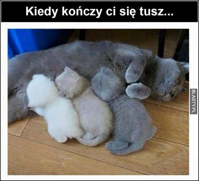 Kiedy kończy Ci się tusz