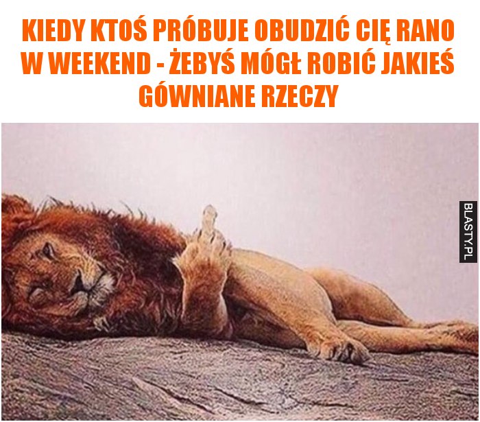 Kiedy ktoś próbuje obudzić cię rano w weekend