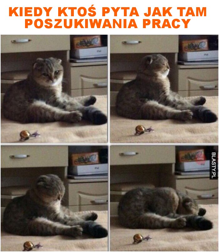 kiedy ktoś pyta jak tam poszukiwania pracy