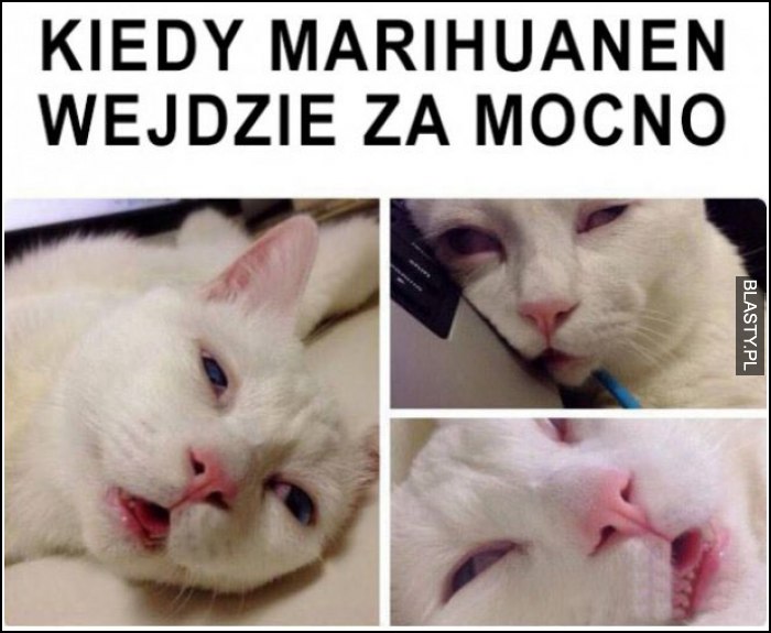 kiedy marihuana wejdzie za mocno