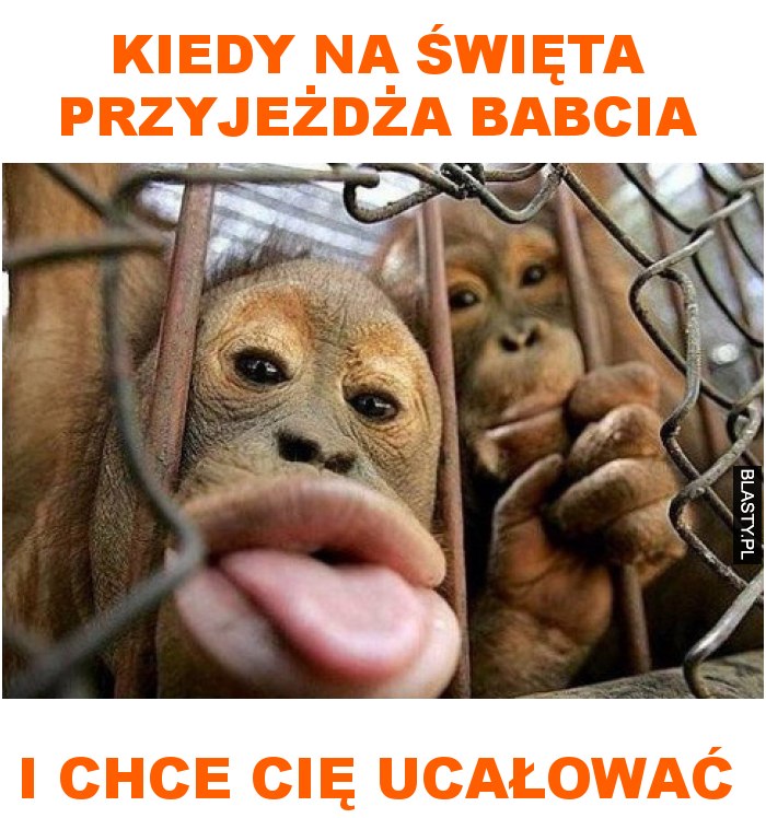 kiedy na święta przyjeżdża babcia i chce cię ucałować