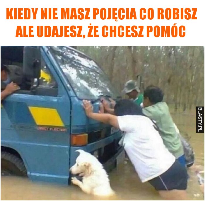 Kiedy nie masz pojęcia co robisz ale udajesz, że chcesz pomóc