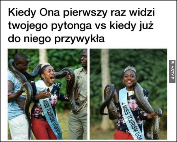 kiedy ona pierwszy raz widzi twojego pytonga