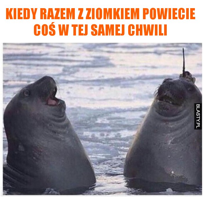 Kiedy razem z ziomkiem powiecie coś w tej samej chwili