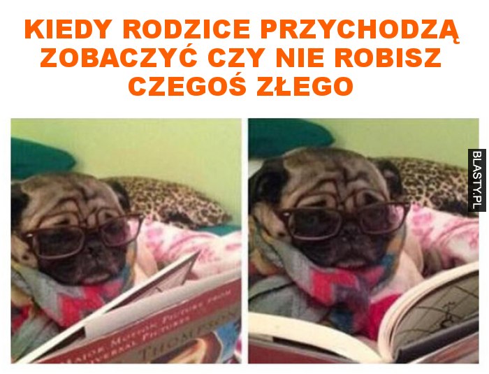 Kiedy rodzice przychodzą zobaczyć czy nie robisz czegoś złego