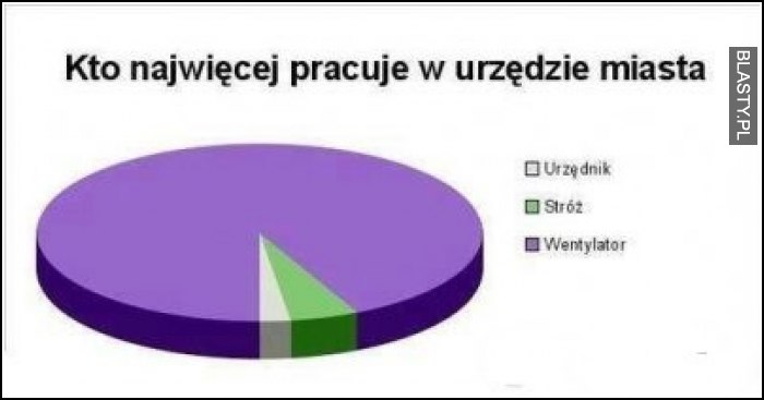 Kto najwięcej pracuje w urzędzie miasta