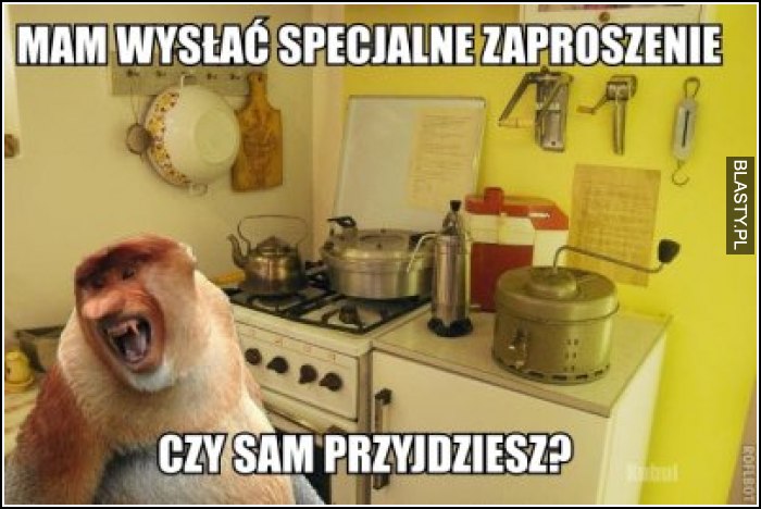 Mam wysłać specjalne zaproszenie ? czy sam przyjdziesz