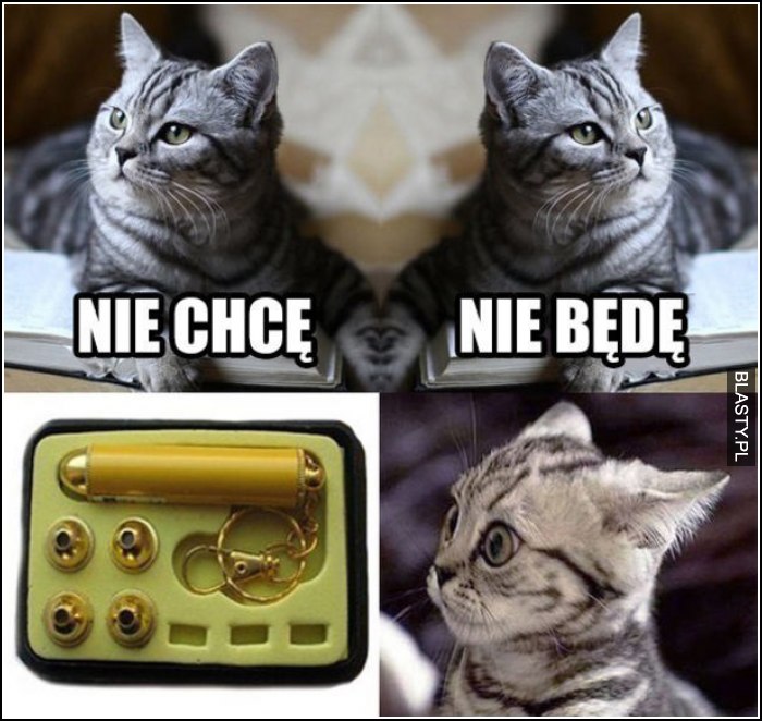 nie chcę nie będę