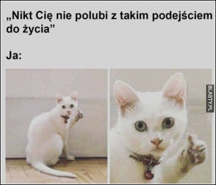 Nikt Cię nie lubi z takim podejściem do życia