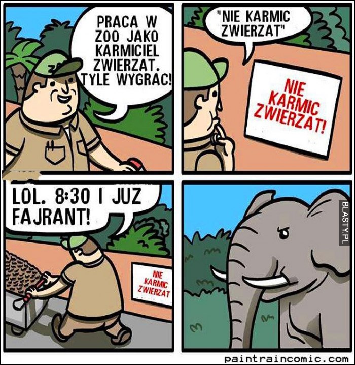 Praca w zoo jako karmiciel