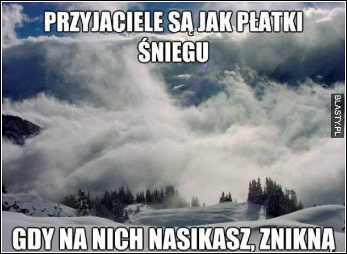 przyjaciele są jak płatki śniegu