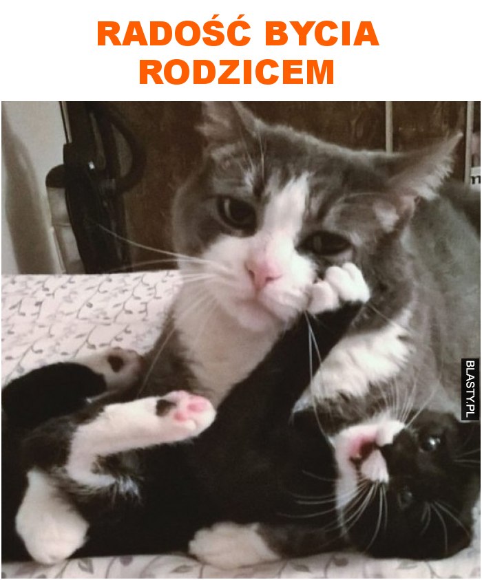 radość bycia rodzicem