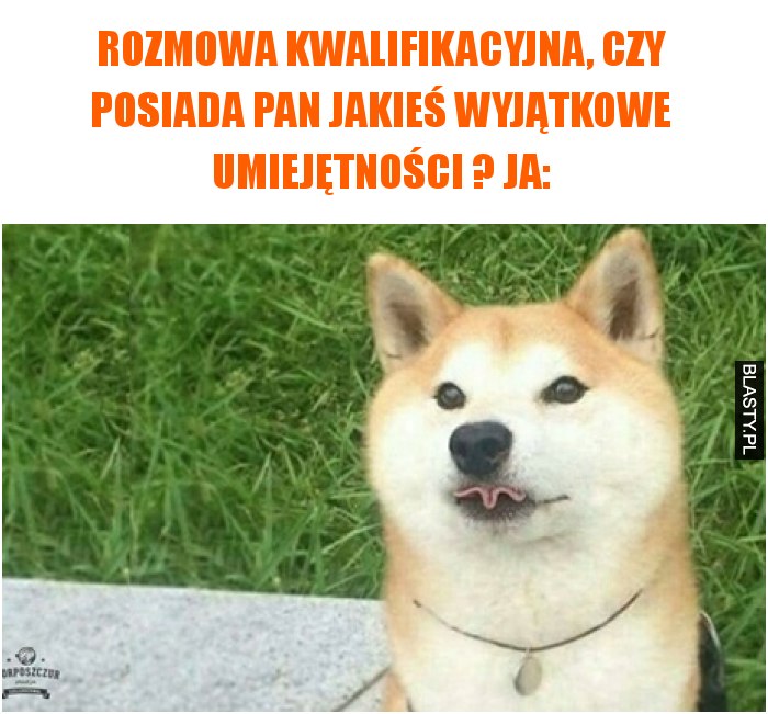 Rozmowa kwalifikacyjna