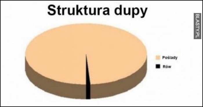 Struktura dupy