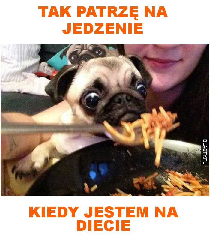 tak patrzę na jedzenie kiedy jestem na diecie