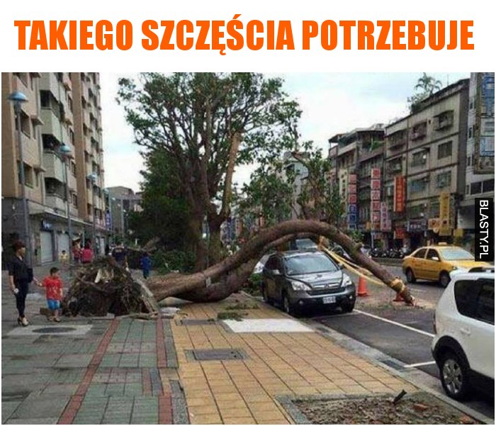 Takiego szczęścia potrzebuje