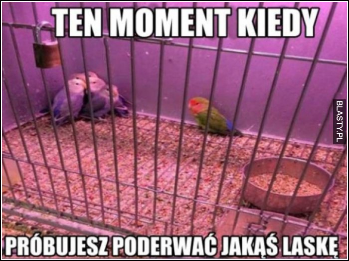 ten moment kiedy próbujesz poderwać laskę