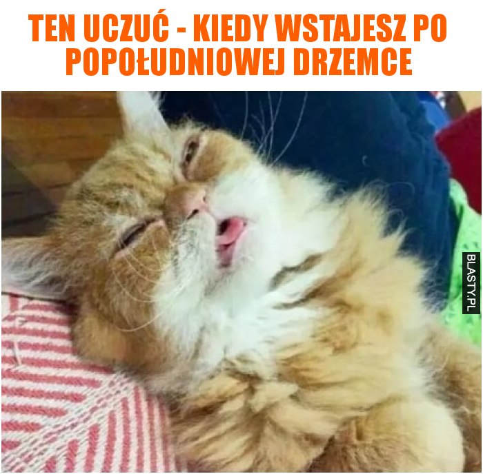 Ten uczuć - kiedy wstajesz po popołudniowej drzemce