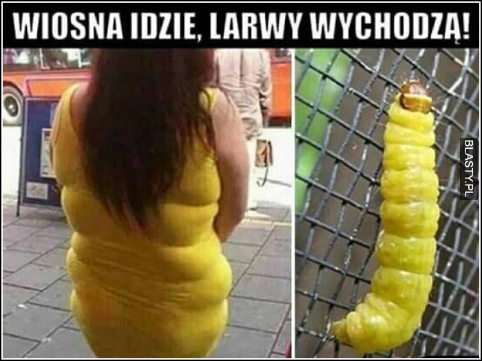 Wiosna idzie