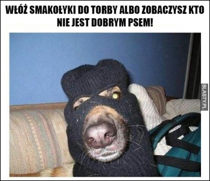 Włóż smakołyk do torebki