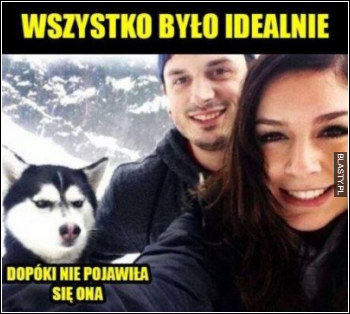 Wszystko było idealnie