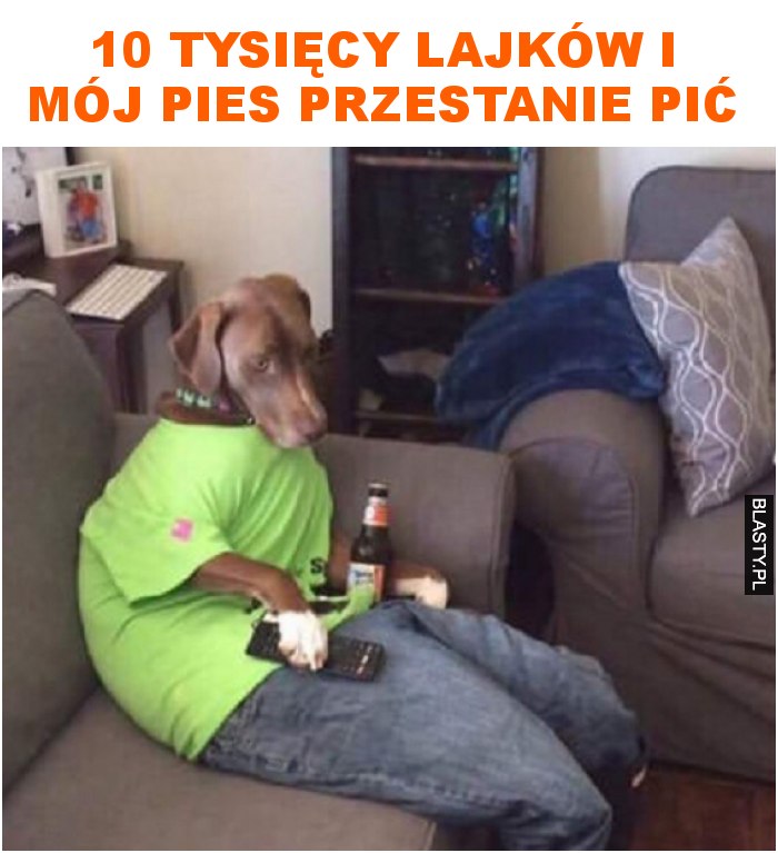 10 tysięcy lajków i mój pies przestanie pić