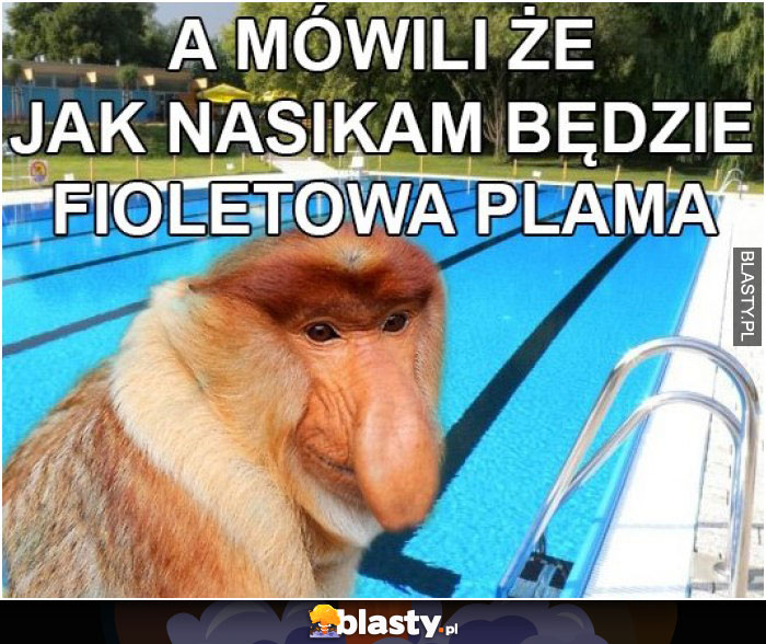 A mówiłem, że jak na sikam będzie fioletowa plama