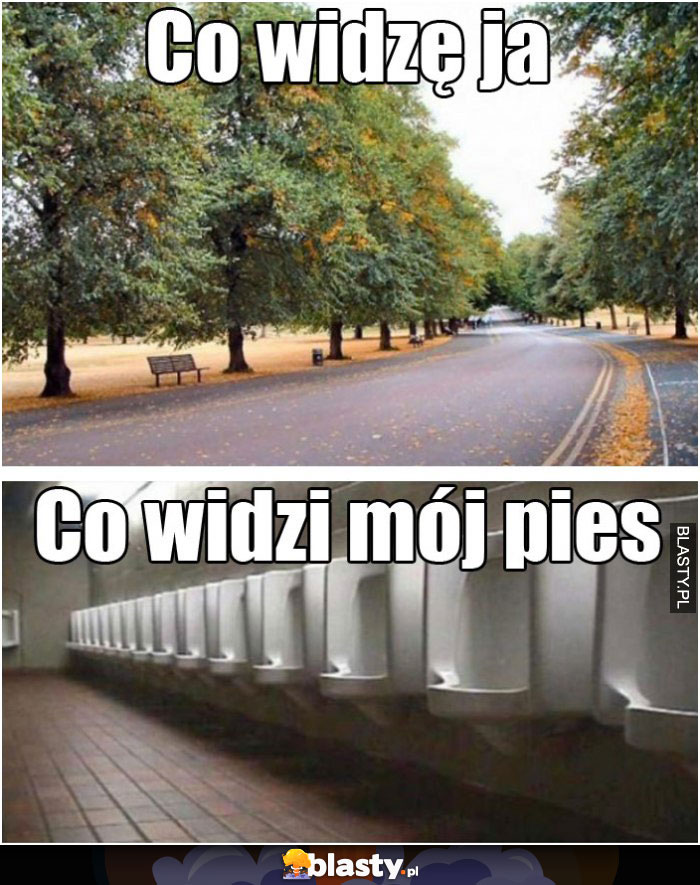 Co widzę ja