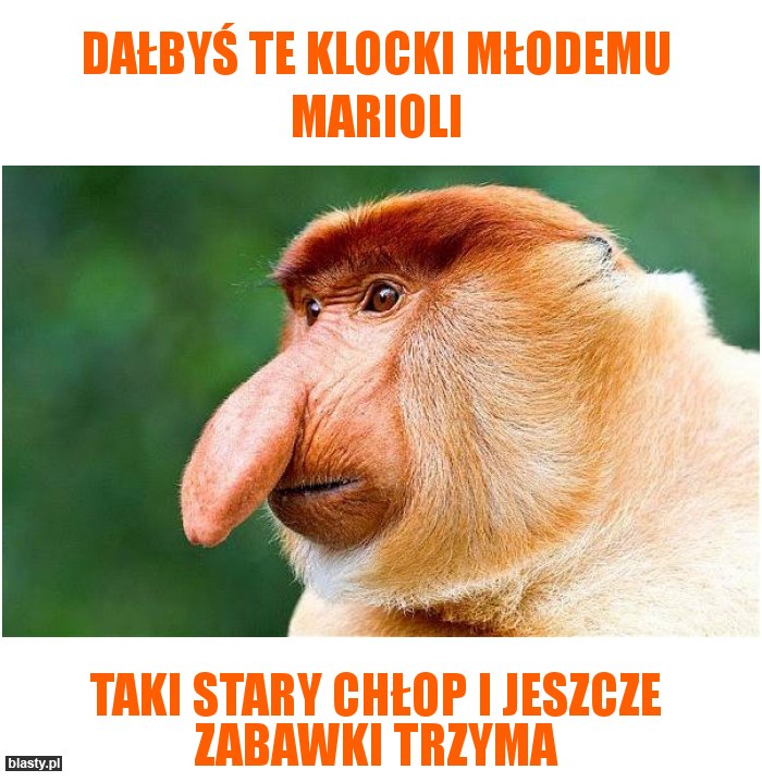 Dałbyś te klocki młodemu marioli